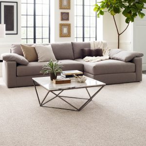 Modern living room | Broadway Carpets, Inc