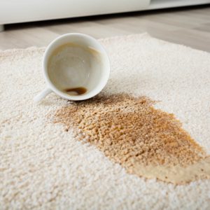 5 Signs it&#8217;s Time for a Professional Rug Cleaning