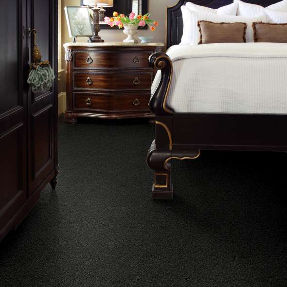 Find Your Best Carpet Color in Knoxville, TN Broadway Carpet & Flooring