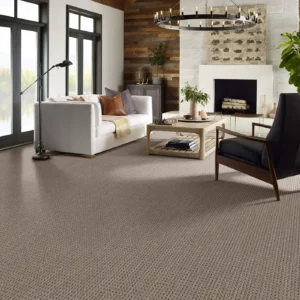 Brown Textured Shaw Floors carpet in rustic living room | Broadway Carpet & Flooring