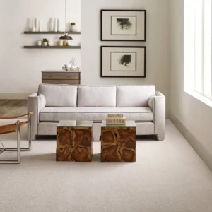 Light gray Shaw Floors carpet in a lightly colored living room | Broadway Carpet & Flooring
