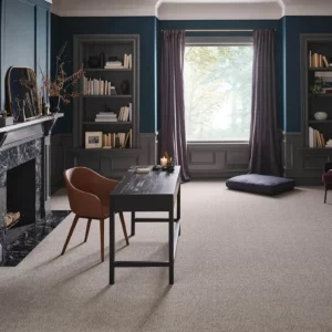 Beige-gray Shaw Floors carpet in a darkly lit residential office | Broadway Carpet & Flooring